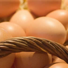 Propiedades nutricionales