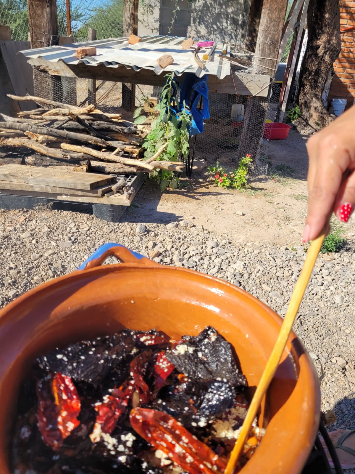Molienda de chiles secos a punto, para lograr la textura perfecta