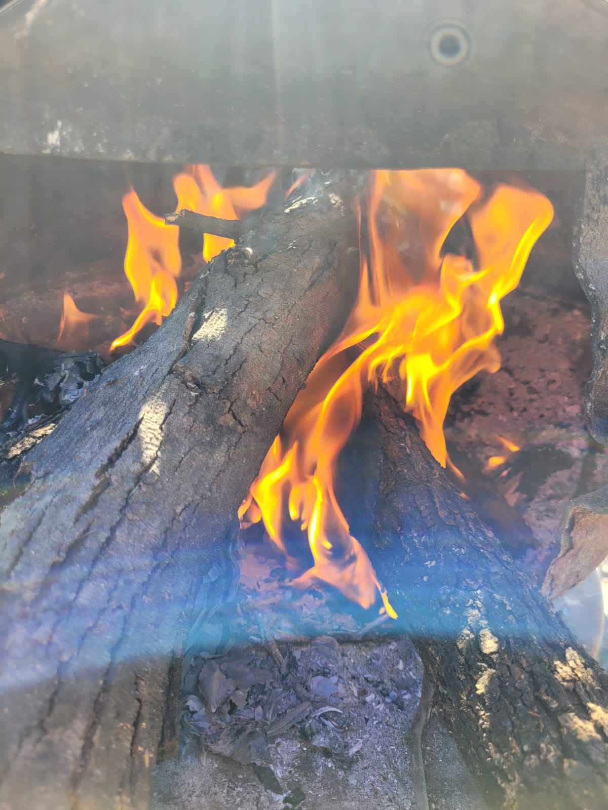 Envasado en caliente para sellar la frescura y sabor